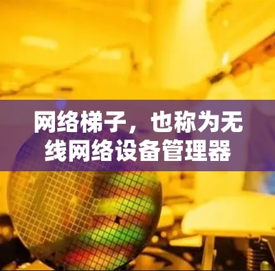 网络梯子,也称为无线网络设备管理器,是一种用于管理多个无线网络设备的工具。它通过连接多个无线网络设备到同一个网络环境中,帮助用户轻松管理、配置和管理无线网络。以下是关于网络梯子的详细步骤和方法 网络梯子,也称为无线网络设备管理器,是一种用于管理多个无线网络设备的工具。它通过连接多个无线网络设备到同一个网络环境中,帮助用户轻松管理、配置和管理无线网络。以下是关于网络梯子的详细步骤和方法
