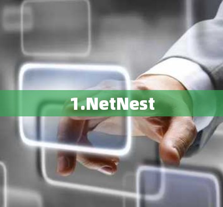 1.NetNest
