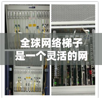 全球网络梯子是一个灵活的网络架构,旨在将全球范围内的网络分成多个区域,通过 trunk 线连接到中央服务器,确保数据在不同区域之间顺利交换。以下是梯子网络的详细结构和优势 全球网络梯子是一个灵活的网络架构,旨在将全球范围内的网络分成多个区域,通过 trunk 线连接到中央服务器,确保数据在不同区域之间顺利交换。以下是梯子网络的详细结构和优势