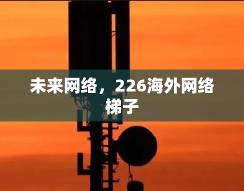未来网络,226海外网络梯子 未来网络,226海外网络梯子