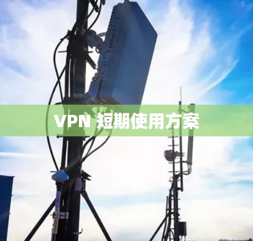 VPN 短期使用方案 VPN 短期使用方案