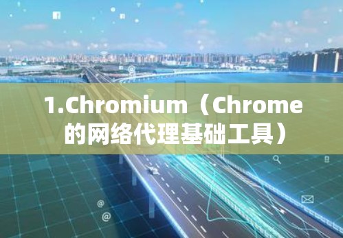 1.Chromium(Chrome 的网络代理基础工具) 1.Chromium(Chrome 的网络代理基础工具)