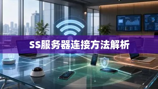 SS服务器连接方法解析