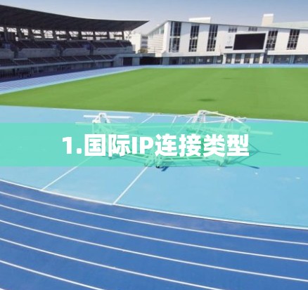 1.国际IP连接类型