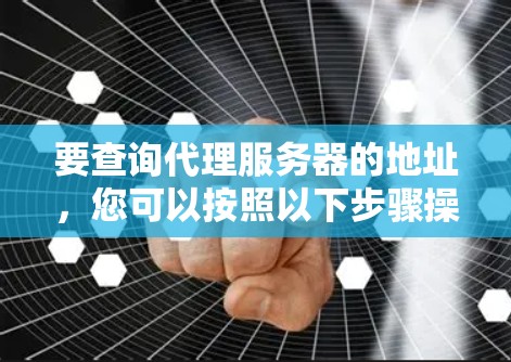 要查询代理服务器的地址，您可以按照以下步骤操作