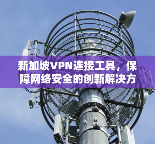 新加坡VPN连接工具，保障网络安全的创新解决方案