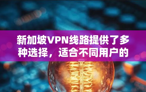 新加坡VPN线路提供了多种选择,适合不同用户的需求。以下是主要的VPN服务及其特点 新加坡VPN线路提供了多种选择,适合不同用户的需求。以下是主要的VPN服务及其特点
