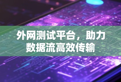 外网测试平台,助力数据流高效传输 外网测试平台,助力数据流高效传输