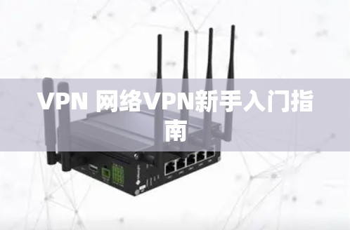 VPN 网络VPN新手入门指南