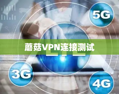 蘑菇VPN连接测试 蘑菇VPN连接测试