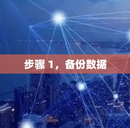步骤 1，备份数据