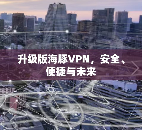 升级版海豚VPN,安全、便捷与未来 升级版海豚VPN,安全、便捷与未来