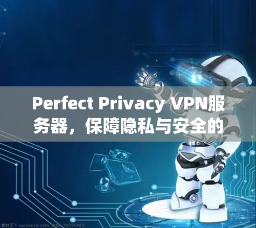 Perfect Privacy VPN服务器,保障隐私与安全的云应用传输解决方案 Perfect Privacy VPN服务器,保障隐私与安全的云应用传输解决方案