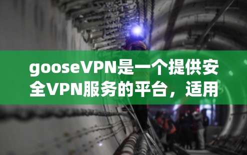 gooseVPN是一个提供安全VPN服务的平台,适用于需要可靠网络连接的用户。以下是其主要功能的详细介绍 gooseVPN是一个提供安全VPN服务的平台,适用于需要可靠网络连接的用户。以下是其主要功能的详细介绍