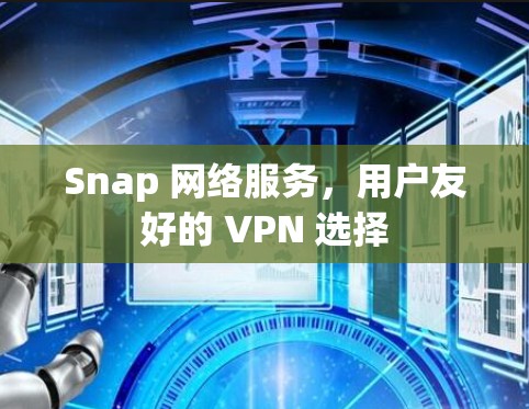 Snap 网络服务，用户友好的 VPN 选择