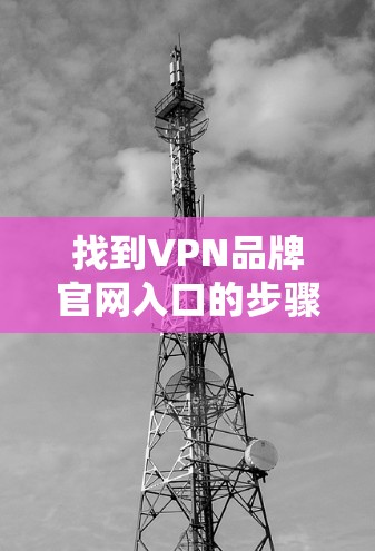 找到VPN品牌官网入口的步骤如下 找到VPN品牌官网入口的步骤如下