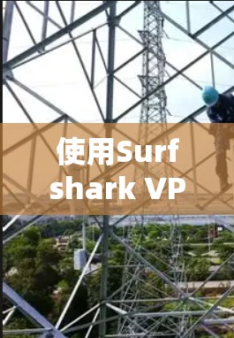 使用Surfshark VPN手机版的基本步骤如下