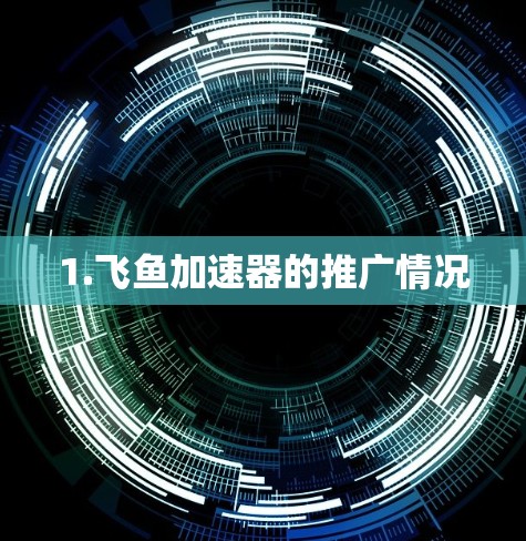 1.飞鱼加速器的推广情况