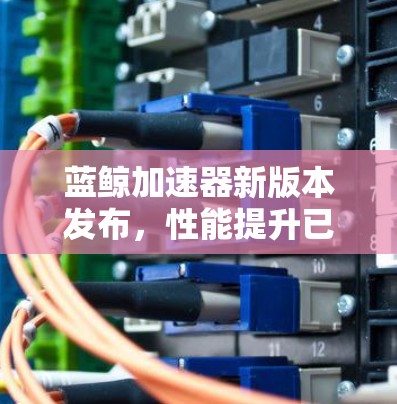 蓝鲸加速器新版本发布，性能提升已见成效
