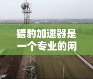 猎豹加速器是一个专业的网络加速工具,旨在提升在线体验。以下是对猎豹加速器的详细步骤和使用指南 猎豹加速器是一个专业的网络加速工具,旨在提升在线体验。以下是对猎豹加速器的详细步骤和使用指南