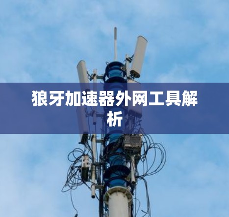 狼牙加速器外网工具解析 狼牙加速器外网工具解析