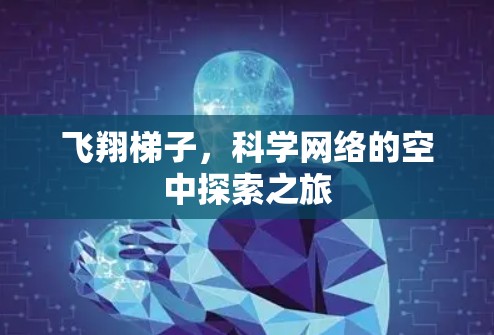 飞翔梯子，科学网络的空中探索之旅