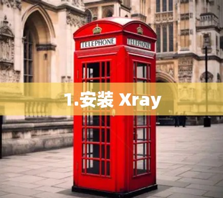 1.安装 Xray 1.安装 Xray