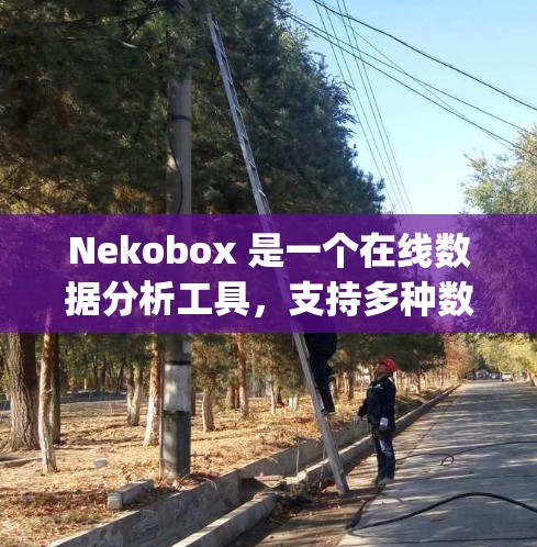 Nekobox 是一个在线数据分析工具，支持多种数据源，如 Excel、CSV、JSON 等格式的数据。以下是使用 Nekobox 的基本步骤