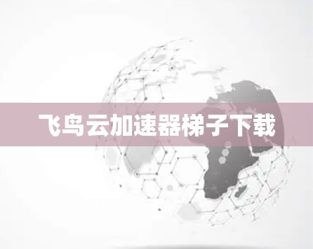 飞鸟云加速器梯子下载 飞鸟云加速器梯子下载