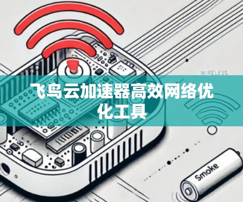 飞鸟云加速器高效网络优化工具