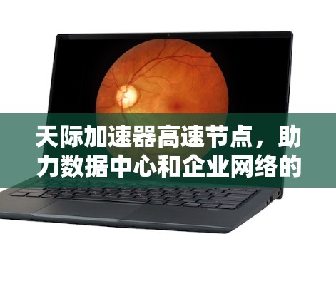 天际加速器高速节点,助力数据中心和企业网络的高效运营 天际加速器高速节点,助力数据中心和企业网络的高效运营