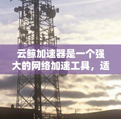 云鲸加速器是一个强大的网络加速工具，适合个人用户、企业用户以及混合云环境中的云服务用户。以下是一些推荐的云鲸加速器节点类型，根据不同的需求和场景选择合适的加速器
