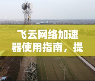 飞云网络加速器使用指南,提升网络速度的高效工具 飞云网络加速器使用指南,提升网络速度的高效工具