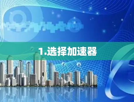 1.选择加速器 1.选择加速器
