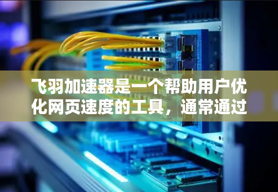 飞羽加速器是一个帮助用户优化网页速度的工具,通常通过软件实现。以下是下载和使用飞羽加速器的步骤 飞羽加速器是一个帮助用户优化网页速度的工具,通常通过软件实现。以下是下载和使用飞羽加速器的步骤