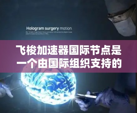 飞梭加速器国际节点是一个由国际组织支持的项目，旨在开发和推广飞梭技术，用于在短时间内达到超高速速度。以下是该节点的详细分析
