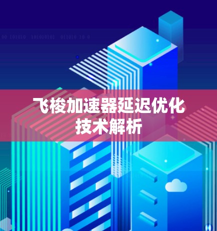 飞梭加速器延迟优化技术解析