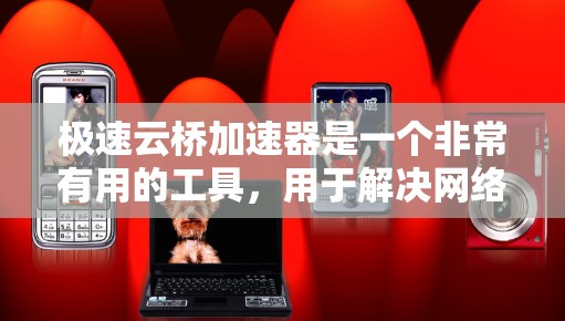 极速云桥加速器是一个非常有用的工具,用于解决网络延迟问题。以下是详细的步骤指南 极速云桥加速器是一个非常有用的工具,用于解决网络延迟问题。以下是详细的步骤指南