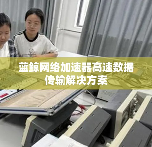 蓝鲸网络加速器高速数据传输解决方案 蓝鲸网络加速器高速数据传输解决方案