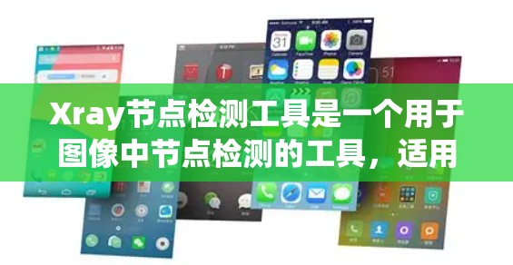 Xray节点检测工具是一个用于图像中节点检测的工具,适用于医学、生物样本等领域。以下是逐步的使用指南 Xray节点检测工具是一个用于图像中节点检测的工具,适用于医学、生物样本等领域。以下是逐步的使用指南