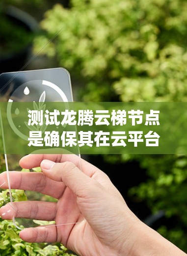 测试龙腾云梯节点是确保其在云平台上的稳定运行的重要步骤。以下是一个系统化的步骤指南