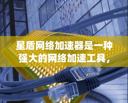 星盾网络加速器是一种强大的网络加速工具,能够帮助用户更好地连接到互联网。以下是一步-by-step的使用方法,帮助你轻松使用星盾网络加速器 星盾网络加速器是一种强大的网络加速工具,能够帮助用户更好地连接到互联网。以下是一步-by-step的使用方法,帮助你轻松使用星盾网络加速器