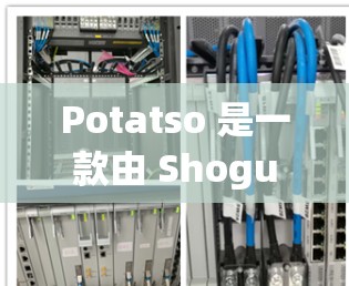 Potatso 是一款由 Shogun Soft 开发的射击游戏,如果你对 Potatso 感兴趣,以下是一个基本的使用教程 Potatso 是一款由 Shogun Soft 开发的射击游戏,如果你对 Potatso 感兴趣,以下是一个基本的使用教程