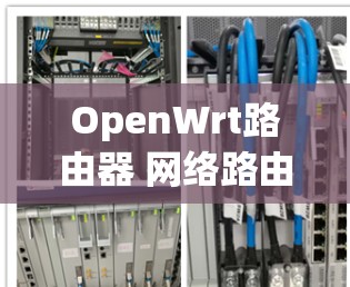 OpenWrt路由器 网络路由器配置指南