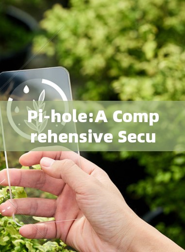 Pi-hole:A Comprehensive Security Solution Pi-hole:A Comprehensive Security Solution