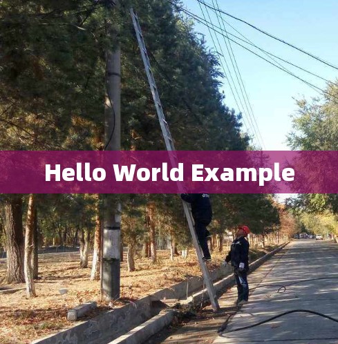 Hello World Example Hello World Example