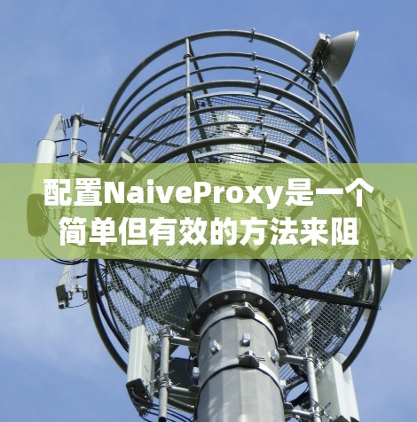 配置NaiveProxy是一个简单但有效的方法来阻止恶意请求,以下是详细的配置步骤 配置NaiveProxy是一个简单但有效的方法来阻止恶意请求,以下是详细的配置步骤