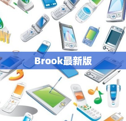 Brook最新版 Brook最新版