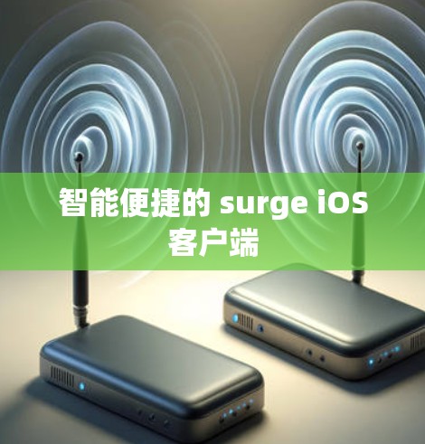 智能便捷的 surge iOS客户端 智能便捷的 surge iOS客户端
