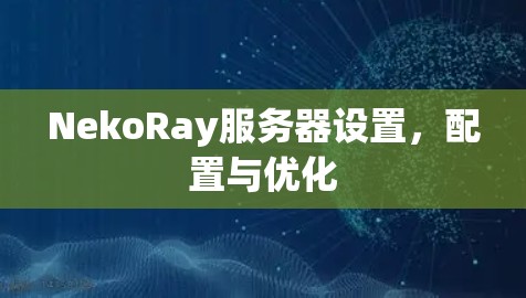NekoRay服务器设置，配置与优化